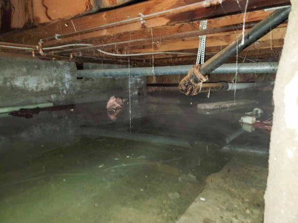 Best Water damage restoration company  in Lebanon South, PA