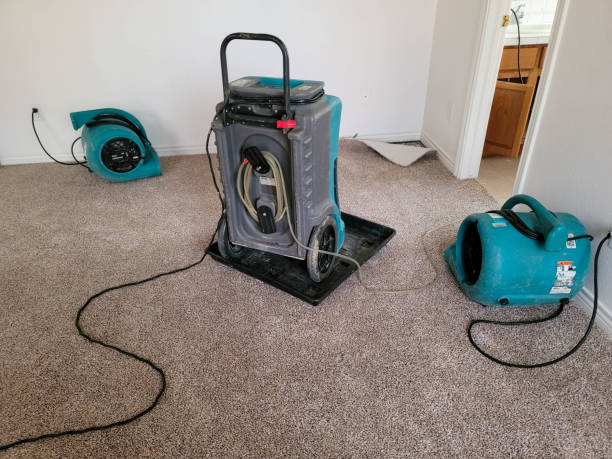 Best Commercial water damage restoration  in Lebanon South, PA