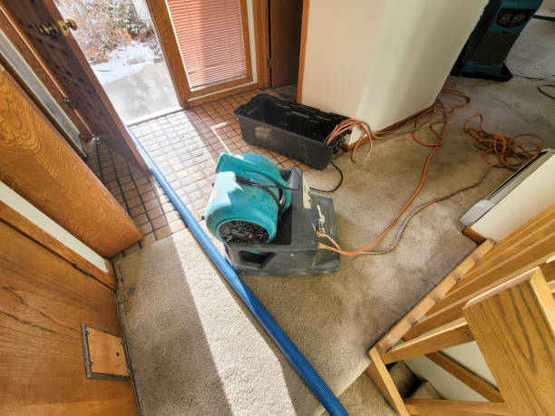 Best Ceiling water damage repair  in Lebanon South, PA