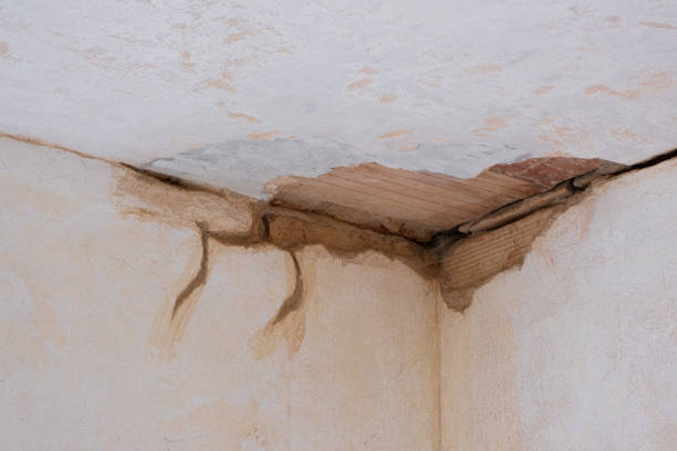 Best Water damage restoration near me  in Lebanon South, PA