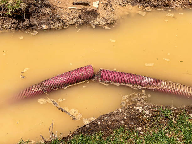 Best Sewage cleanup and water damage restoration  in Lebanon South, PA