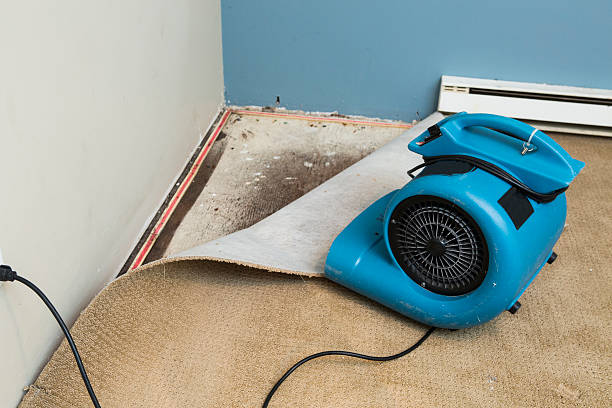 Sewage cleanup and water damage restoration in PA